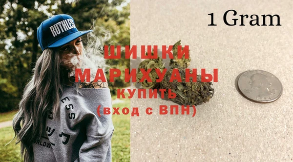 прущие грибы Верея