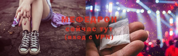 прущие грибы Верея