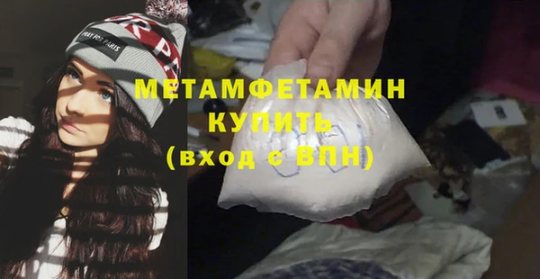 прущие грибы Верея