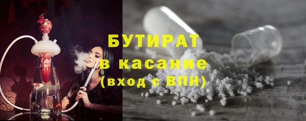 прущие грибы Верея