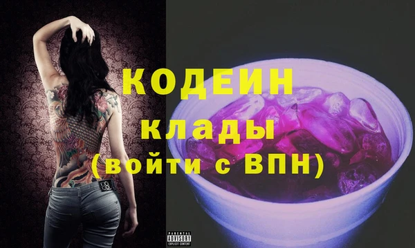 прущие грибы Верея